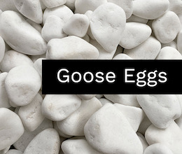 Goose Eggs