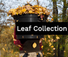 Leaf Collection